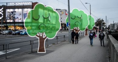 Заботятся ли в Риге о деревьях? Заботятся ли в Риге о деревьях?