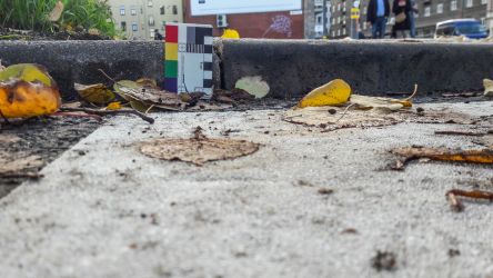 Lai gan viens no nosacījumiem būvniekiem bija apmales pazemināt visas gājēju pārejas platumā, šajā vietā Brīvības ielā tas acīmredzami nav darīts, jo pie "zebras" malas apmale ir vairāk nekā 7 cm augsta.